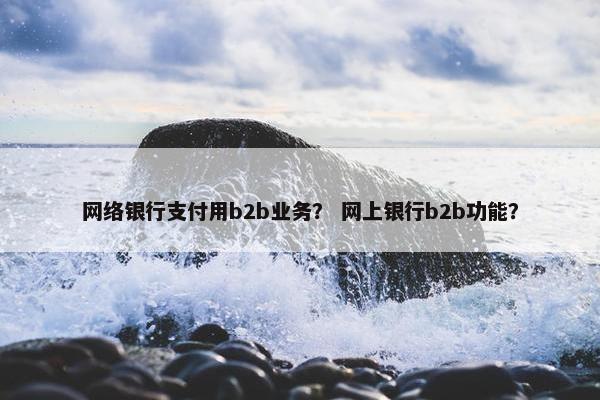 网络银行支付用b2b业务？ 网上银行b2b功能？