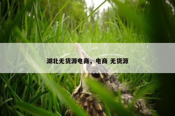 湖北无货源电商，电商 无货源
