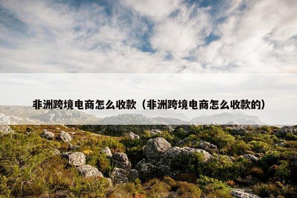 非洲跨境电商怎么收款（非洲跨境电商怎么收款的）