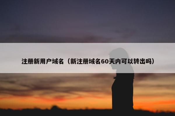 注册新用户域名（新注册域名60天内可以转出吗）