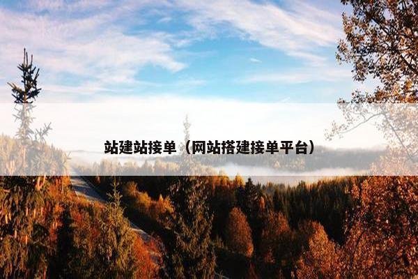 站建站接单（网站搭建接单平台）