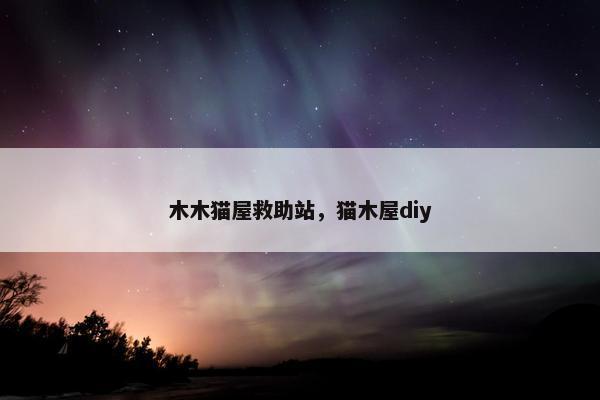 木木猫屋救助站，猫木屋diy