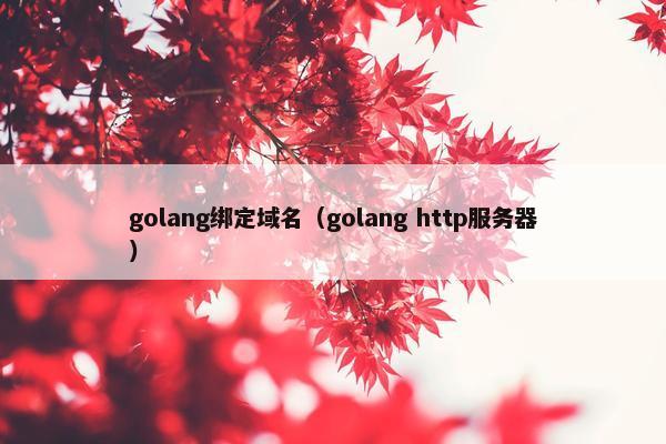 golang绑定域名（golang http服务器）