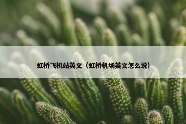 虹桥飞机站英文（虹桥机场英文怎么说）