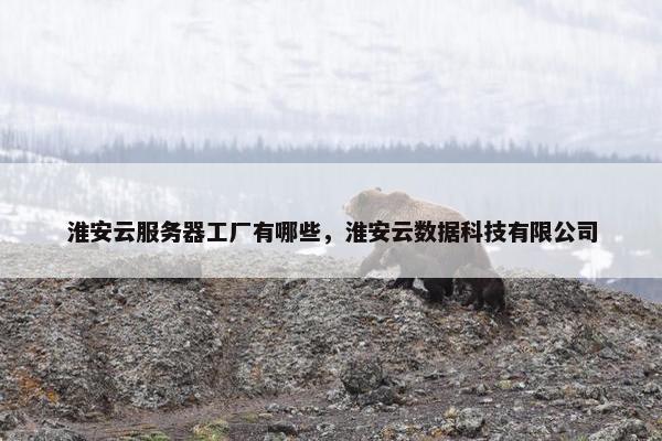 淮安云服务器工厂有哪些，淮安云数据科技有限公司