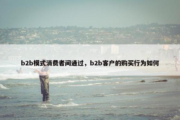 b2b模式消费者间通过，b2b客户的购买行为如何