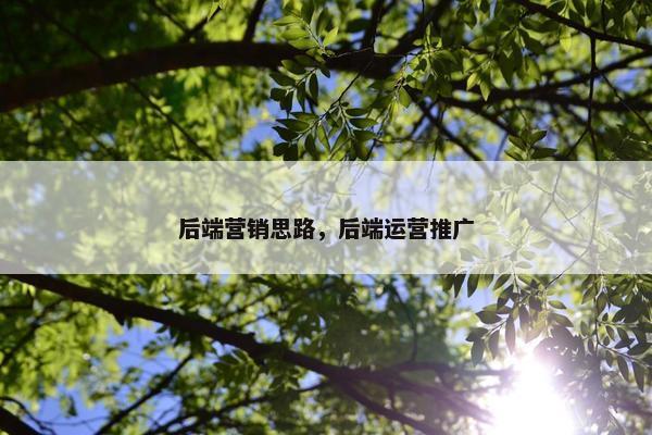 后端营销思路，后端运营推广