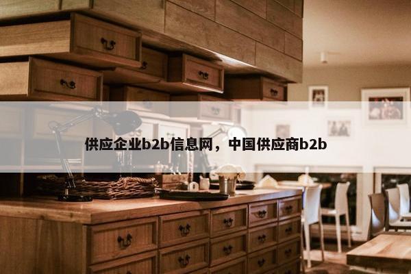 供应企业b2b信息网，中国供应商b2b