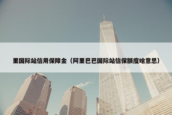 里国际站信用保障金（阿里巴巴国际站信保额度啥意思）