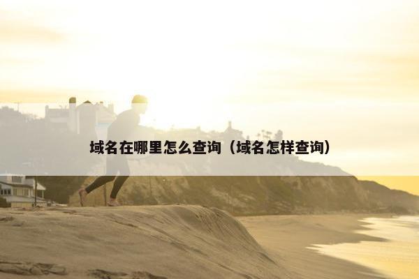 域名在哪里怎么查询（域名怎样查询）