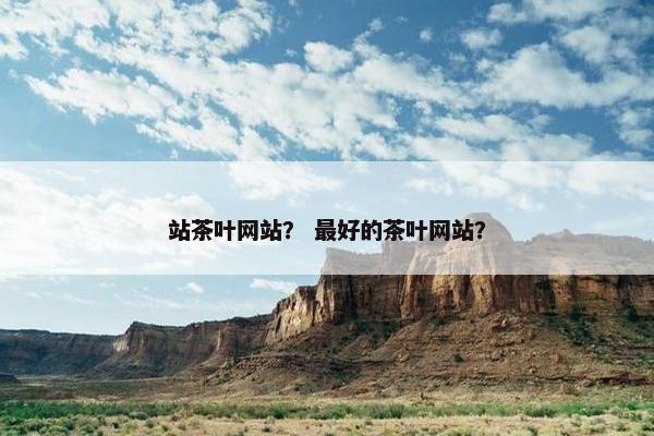 站茶叶网站？ 最好的茶叶网站？