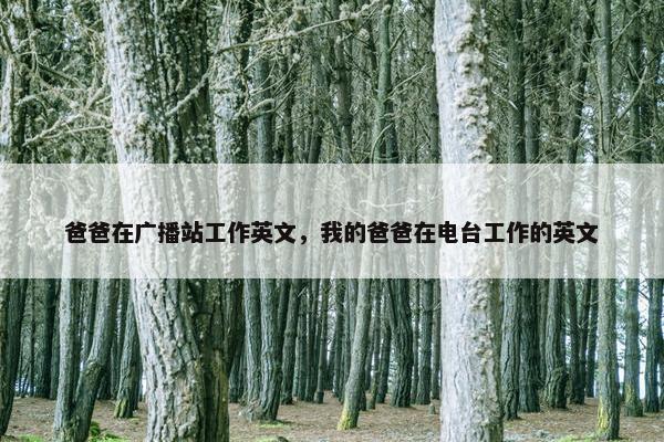 爸爸在广播站工作英文，我的爸爸在电台工作的英文