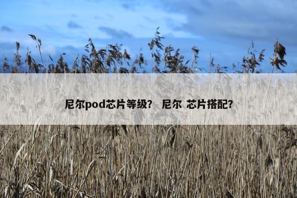 尼尔pod芯片等级？ 尼尔 芯片搭配？