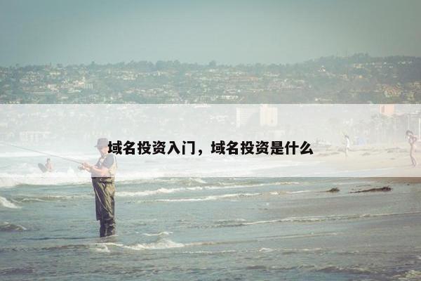 域名投资入门，域名投资是什么