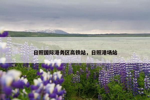 日照国际港务区高铁站，日照港场站
