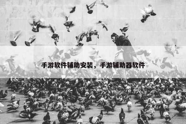 手游软件辅助安装，手游辅助器软件