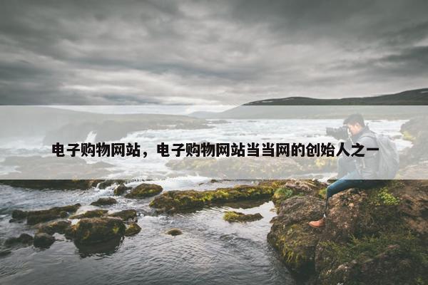 电子购物网站，电子购物网站当当网的创始人之一