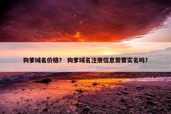 狗爹域名价格？ 狗爹域名注册信息需要实名吗？