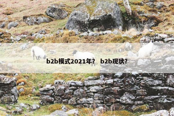 b2b模式2021年？ b2b现状？