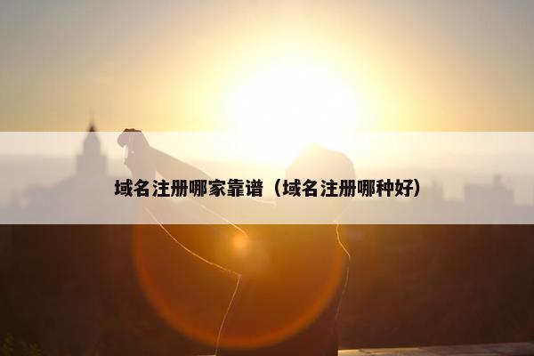 域名注册哪家靠谱（域名注册哪种好）