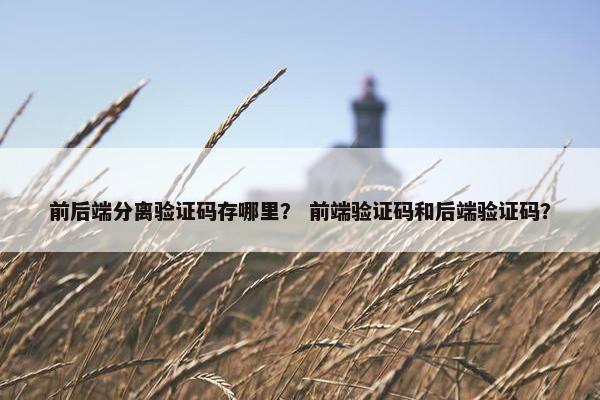 前后端分离验证码存哪里？ 前端验证码和后端验证码？