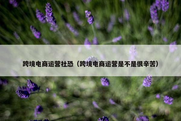 跨境电商运营社恐（跨境电商运营是不是很辛苦）