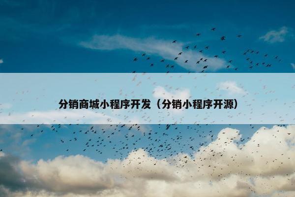 分销商城小程序开发（分销小程序开源）