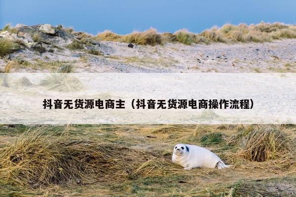 抖音无货源电商主（抖音无货源电商操作流程）