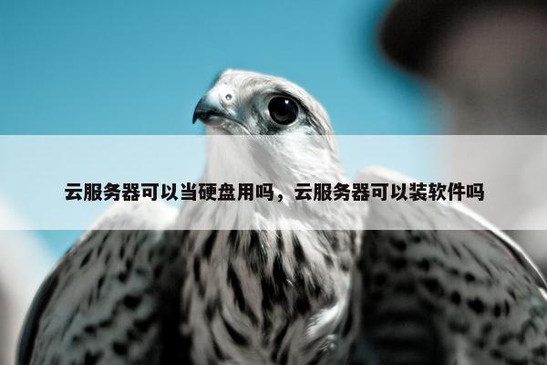 云服务器可以当硬盘用吗，云服务器可以装软件吗