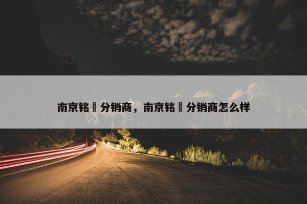 南京铭瑄分销商，南京铭瑄分销商怎么样
