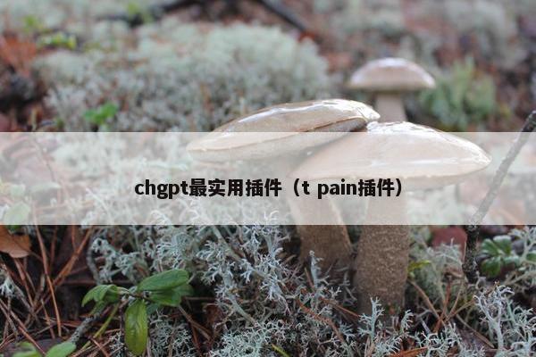 chgpt最实用插件（t pain插件）