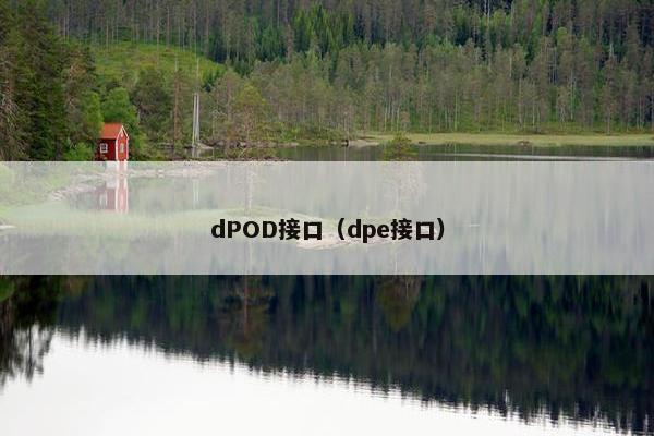dPOD接口（dpe接口）