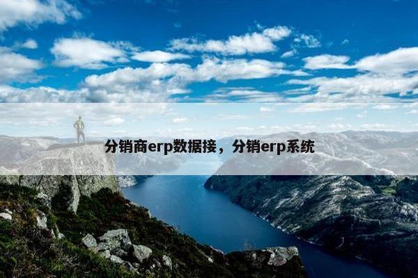 分销商erp数据接，分销erp系统
