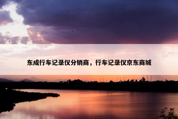 东成行车记录仪分销商，行车记录仪京东商城