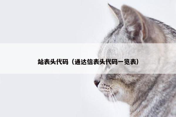 站表头代码（通达信表头代码一览表）