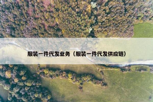 服装一件代发业务（服装一件代发供应链）