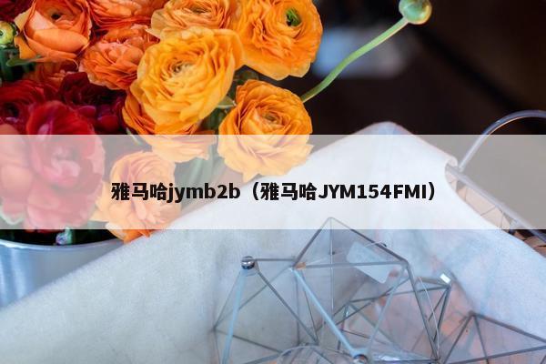 雅马哈jymb2b（雅马哈JYM154FMI）