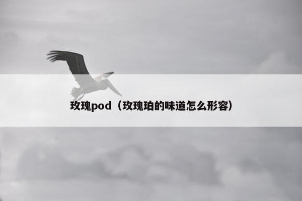 玫瑰pod（玫瑰珀的味道怎么形容）