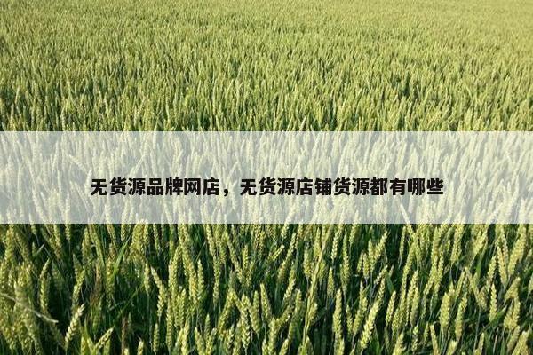 无货源品牌网店，无货源店铺货源都有哪些