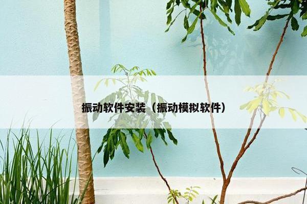 振动软件安装（振动模拟软件）