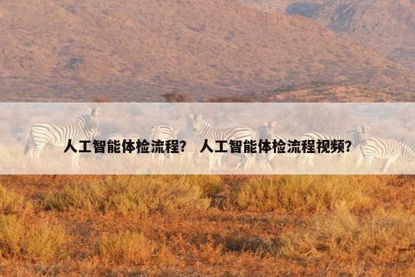 人工智能体检流程？ 人工智能体检流程视频？