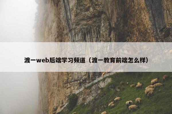 渡一web后端学习频道（渡一教育前端怎么样）