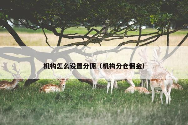 机构怎么设置分佣（机构分仓佣金）