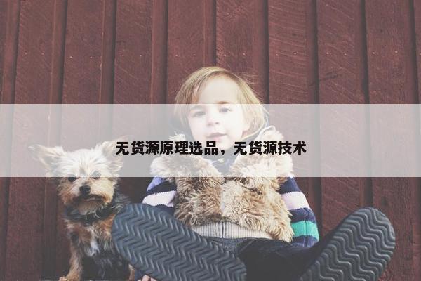 无货源原理选品，无货源技术