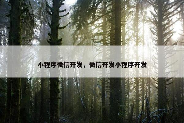 小程序微信开发，微信开发小程序开发