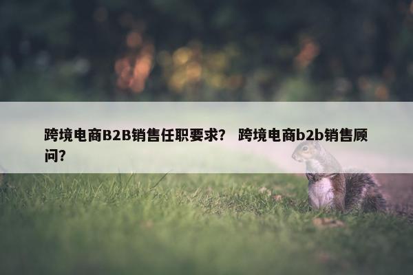 跨境电商B2B销售任职要求？ 跨境电商b2b销售顾问？