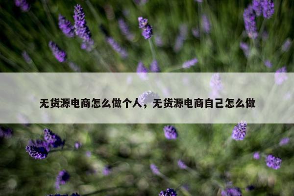 无货源电商怎么做个人，无货源电商自己怎么做