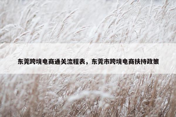 东莞跨境电商通关流程表，东莞市跨境电商扶持政策