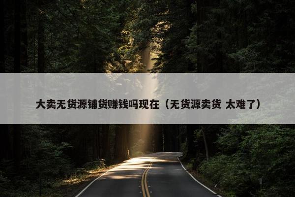 大卖无货源铺货赚钱吗现在（无货源卖货 太难了）