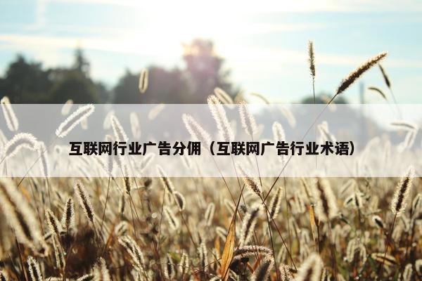互联网行业广告分佣（互联网广告行业术语）